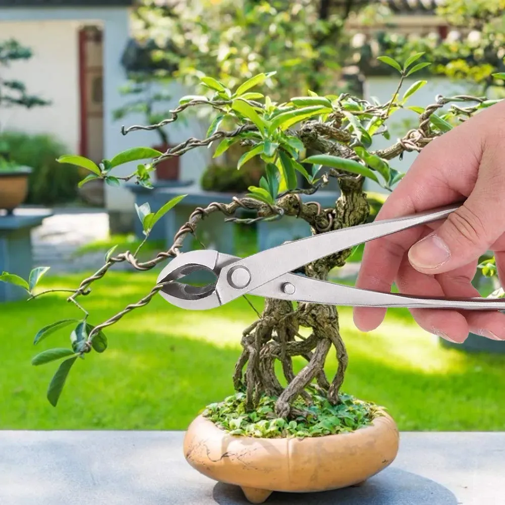 庭園植物のメンテナンスツール：驚くほど効果的！選び方と手入れの秘訣