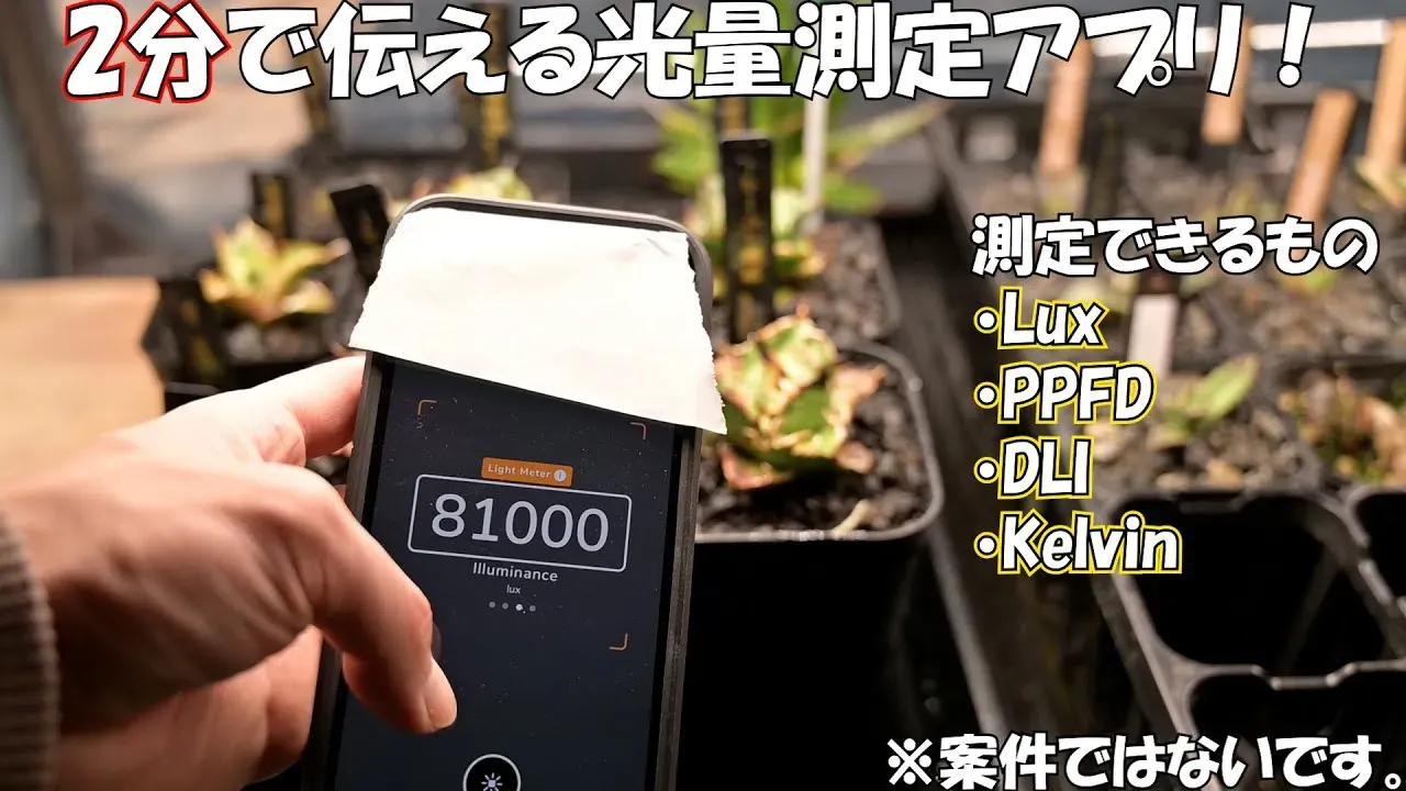 庭園植物の光量調整：見違えるほど美しい庭に！失敗しない絶対秘訣