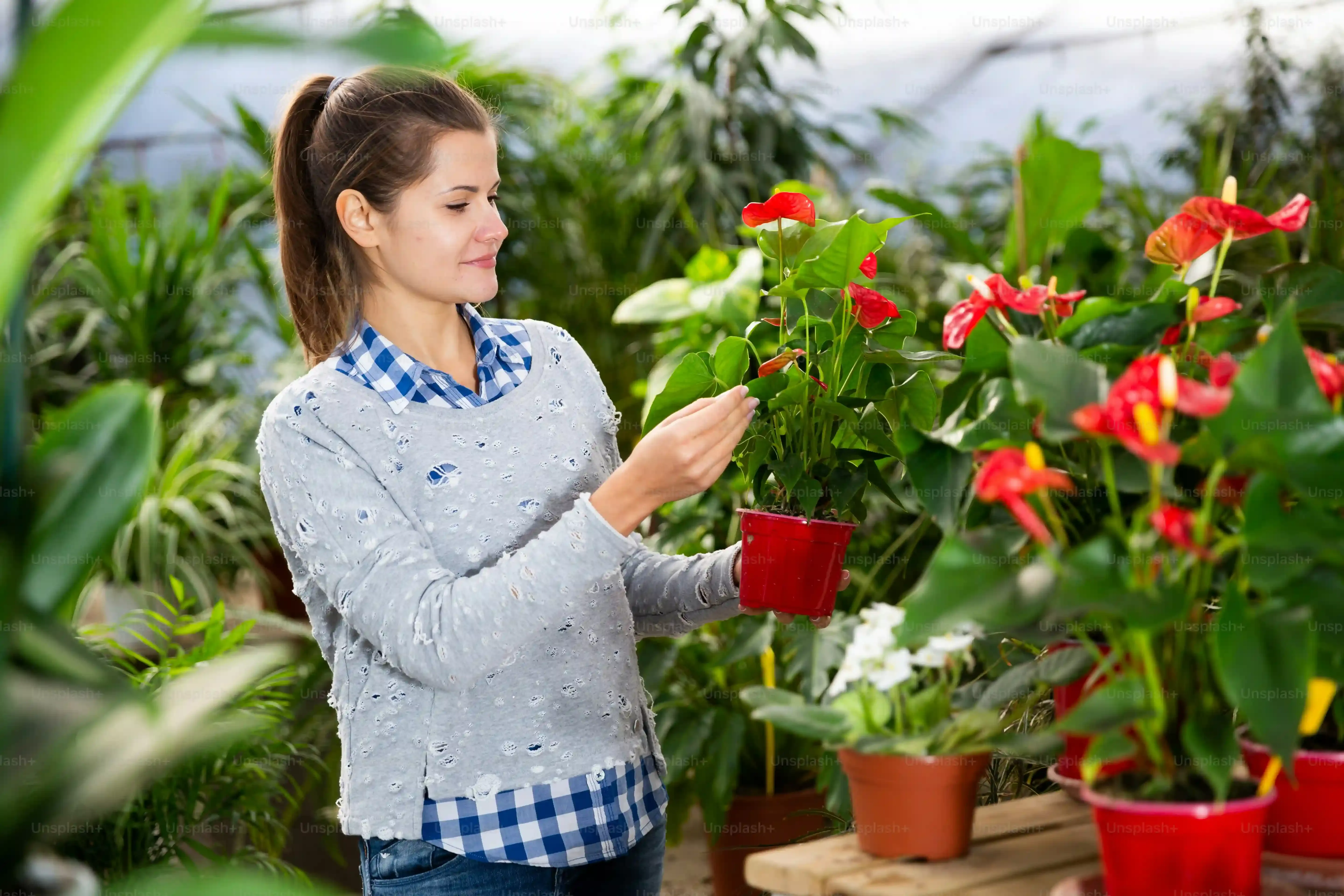 庭園植物の成長管理で劇的変化！プロが教える必須知識