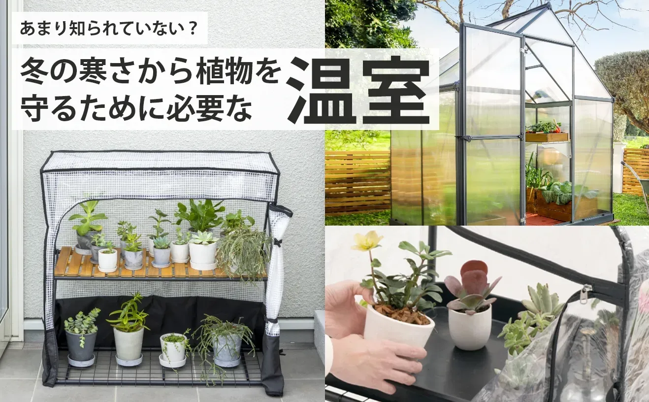 庭園植物の温度調整：夏冬の過酷な環境から守る絶対成功ガイド