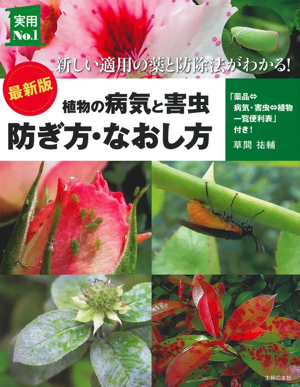 庭園植物の病害虫管理の絶対ガイド：美しい庭を守る簡単テクニック