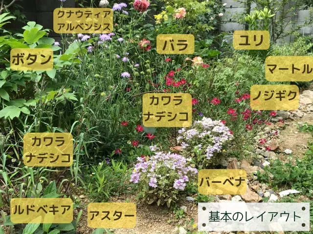 庭園植物の配置方法：絶対成功に導く！美しい庭をつくる究極の秘訣