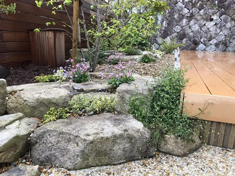 庭園植物の高さ調整：あなたの庭が劇的に変わる！絶対失敗しない簡単な秘訣を公開します