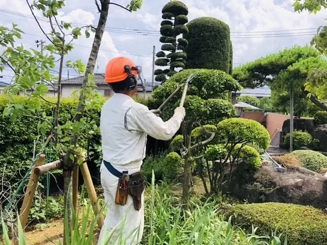 樹木剪定のプロフェッショナルコミュニティとは？交流と学びで差をつける