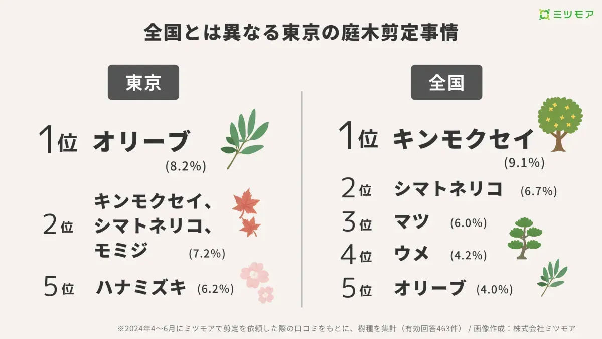 樹木剪定のプロフェッショナルトレンド最前線：プロが実践する驚異の効率化技術と収益UP戦略