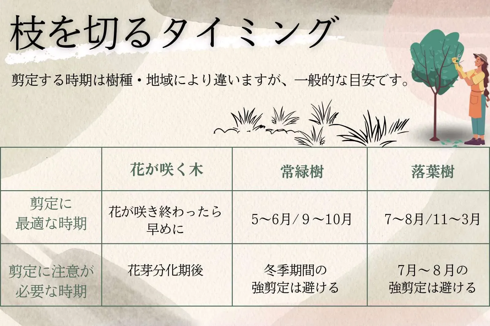 樹木剪定のプロフェッショナルメリットを最大限に！安全で美しい庭を手に入れる秘訣