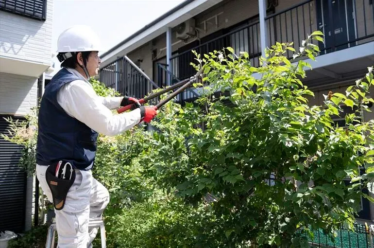 樹木剪定のプロフェッショナルリスク：危険を回避する必須知識