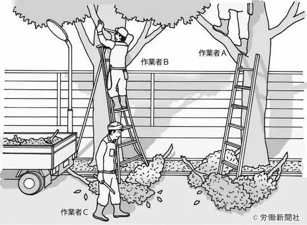 樹木剪定のプロフェッショナル安全対策の全て！プロが実践する確実な事故防止策