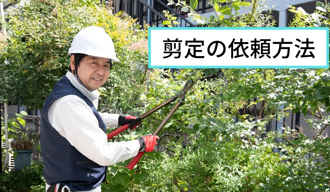 樹木剪定のプロフェッショナル経済対策：成功への秘訣