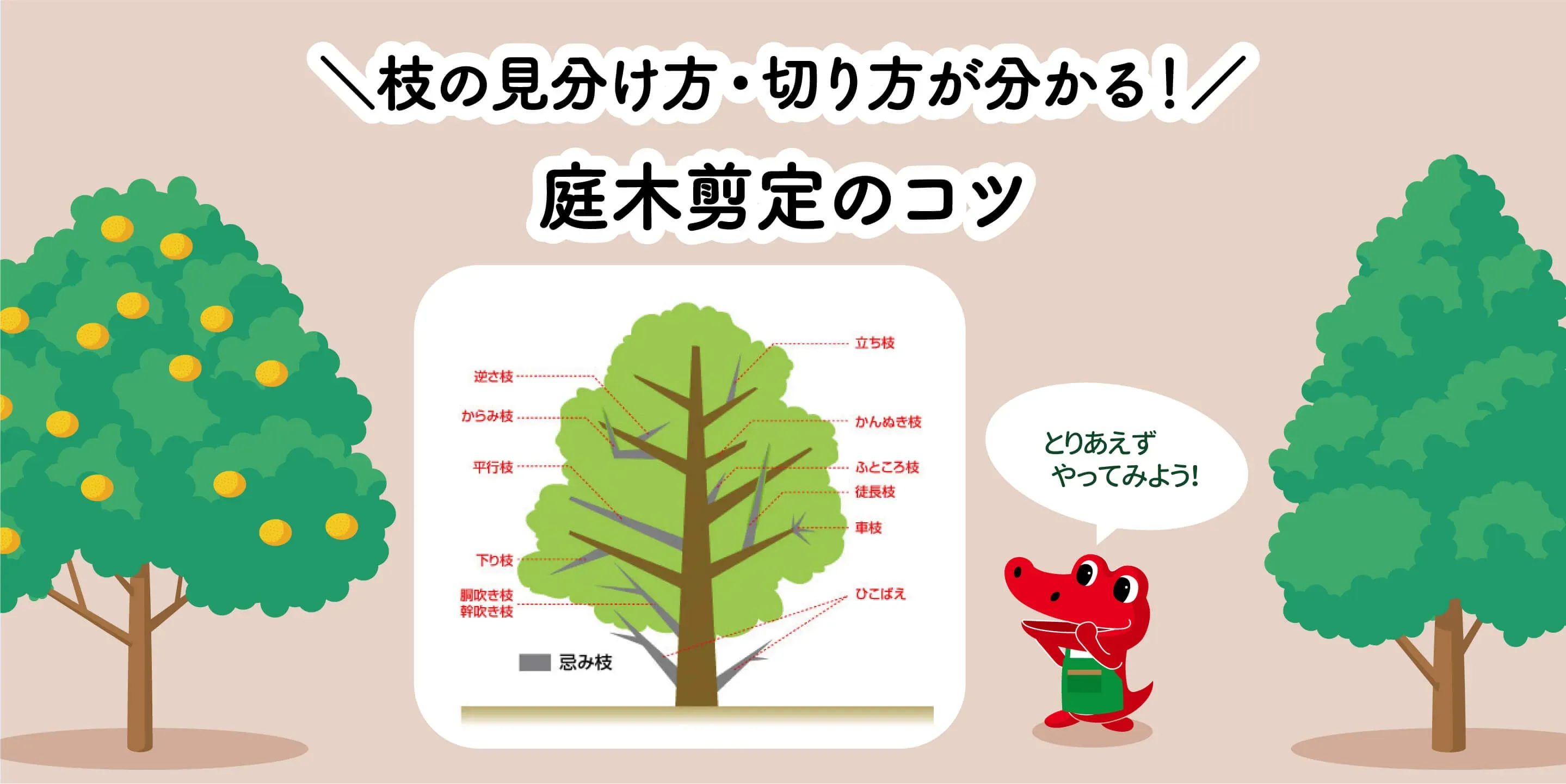 樹木剪定の専門家ガイド決定版！失敗ゼロで庭木を美しく保つ究極テクニック集