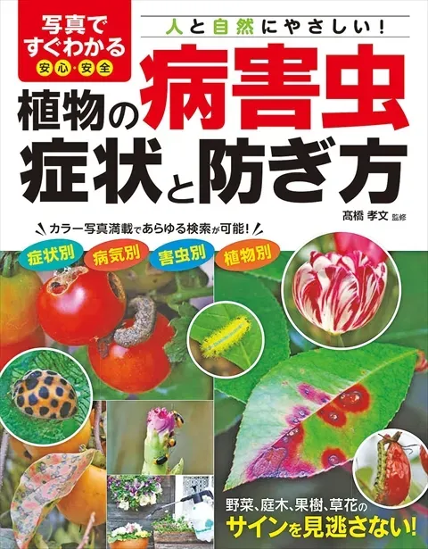 樹木病害虫の安全対策：絶対知っておくべき最善策