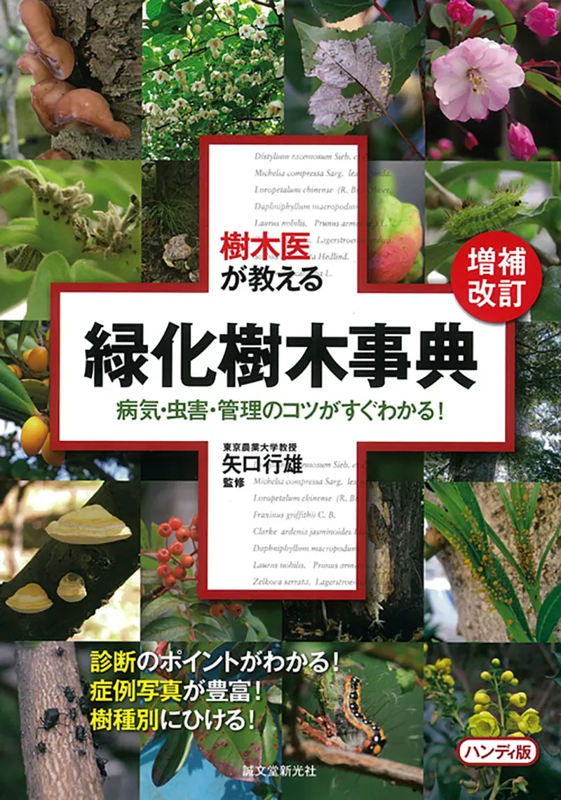 「樹木病害虫の教育対策」実践的な方法で徹底解決！