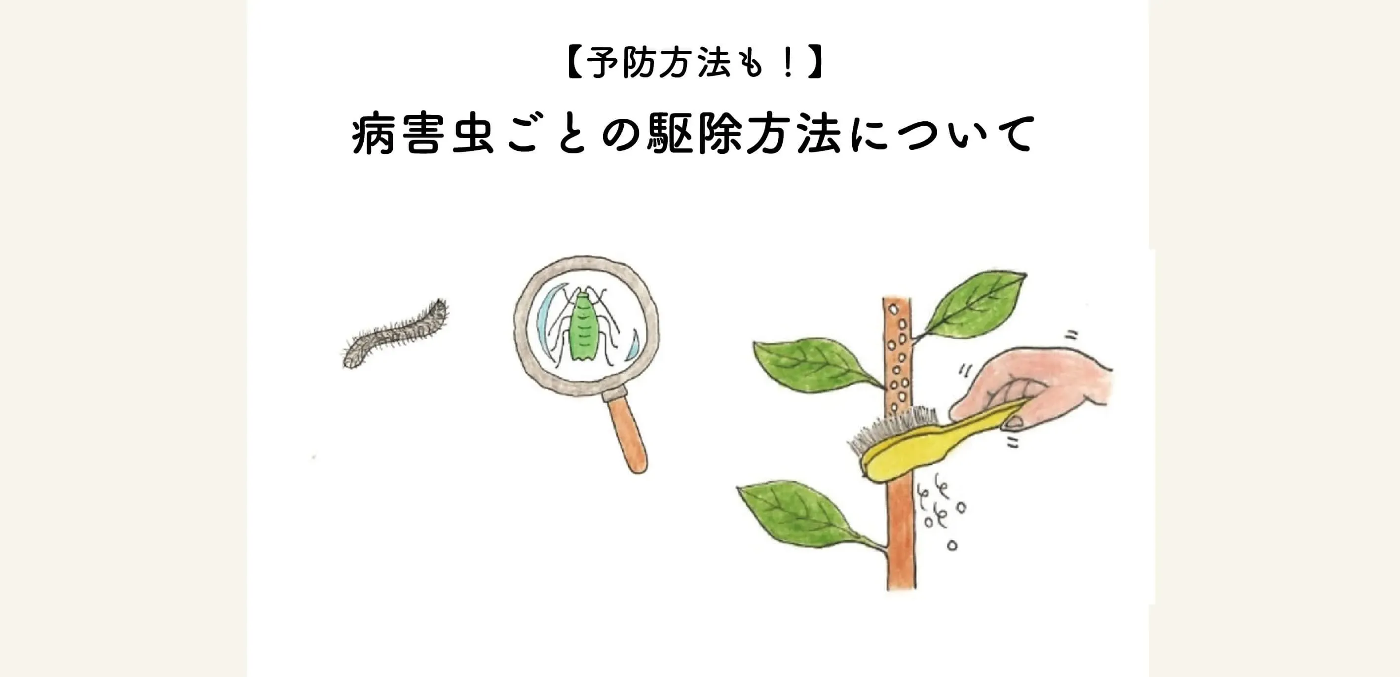 庭の木を救う！樹木病害虫の駆除方法と予防策